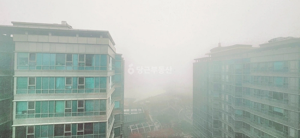 경기도 고양시 일산동구 장항동 사무실 사진 1