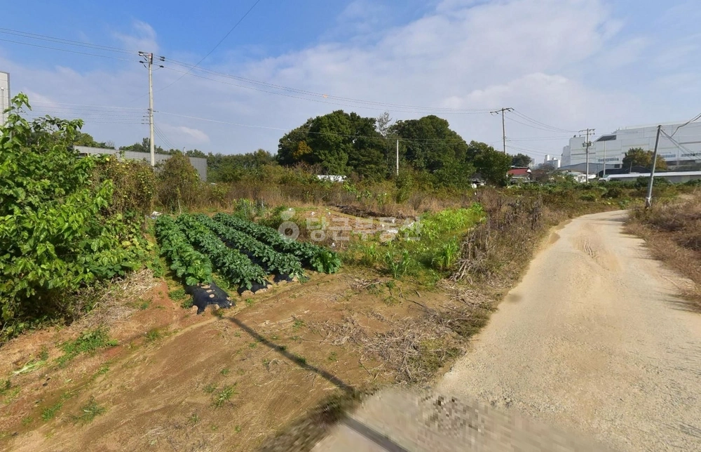 경기도 파주시 조리읍 토지 사진 1