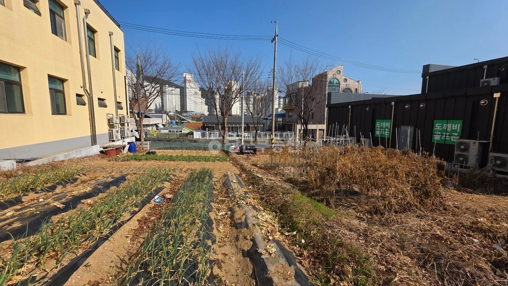 전남광주통합특별시 광양시 마동 토지 사진 1