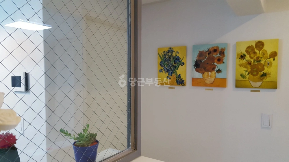 부산광역시 사하구 괴정동 빌라(투룸 이상) 사진 1