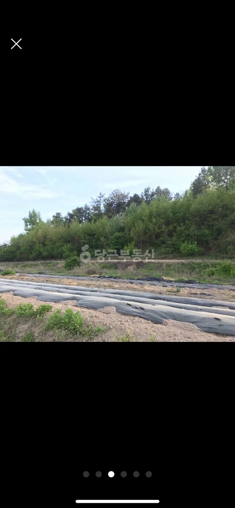 경상남도 창녕군 남지읍 토지 사진 1
