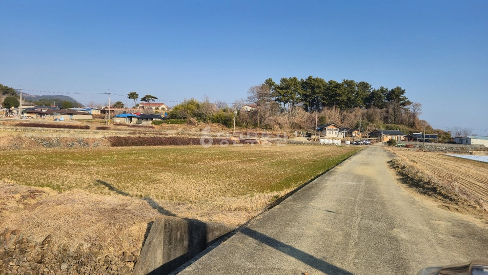 경상남도 남해군 설천면 토지 사진 1