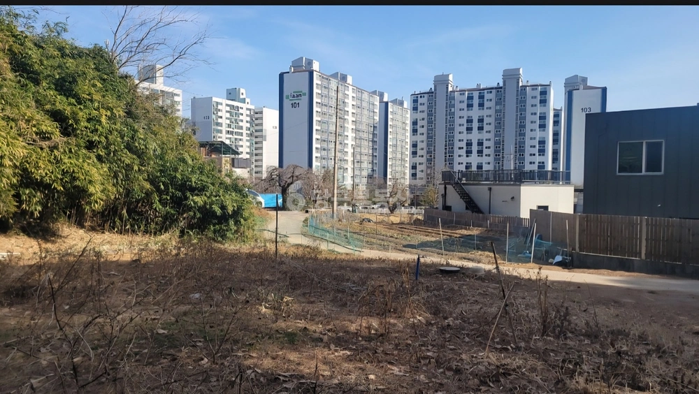 강원특별자치도 강릉시 입암동 토지 사진 1