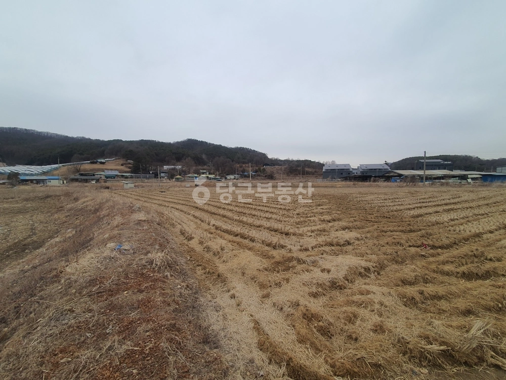 경기도 파주시 법원읍 토지 사진 1