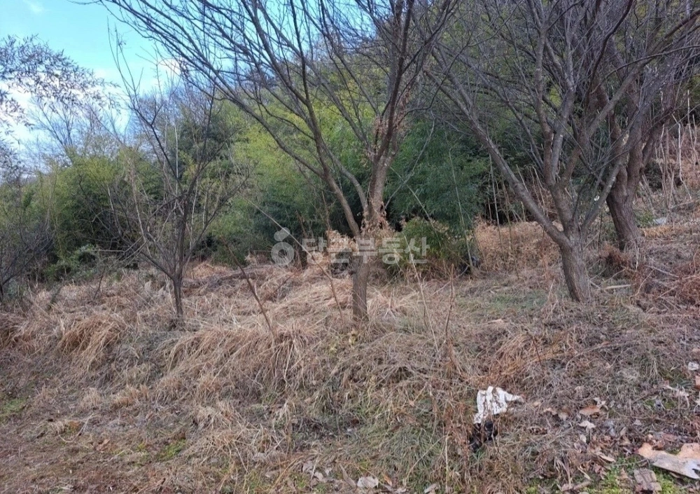 충청남도 아산시 선장면 토지 사진 1