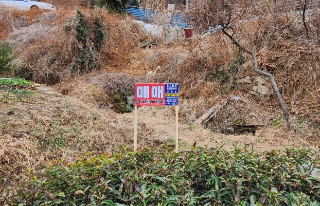 울산광역시 남구 선암동 토지 사진 1