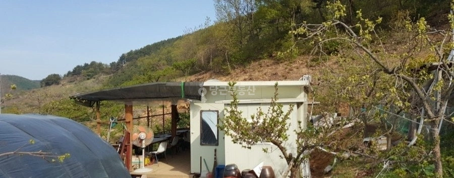 경상북도 청도군 화양읍 토지 사진 1