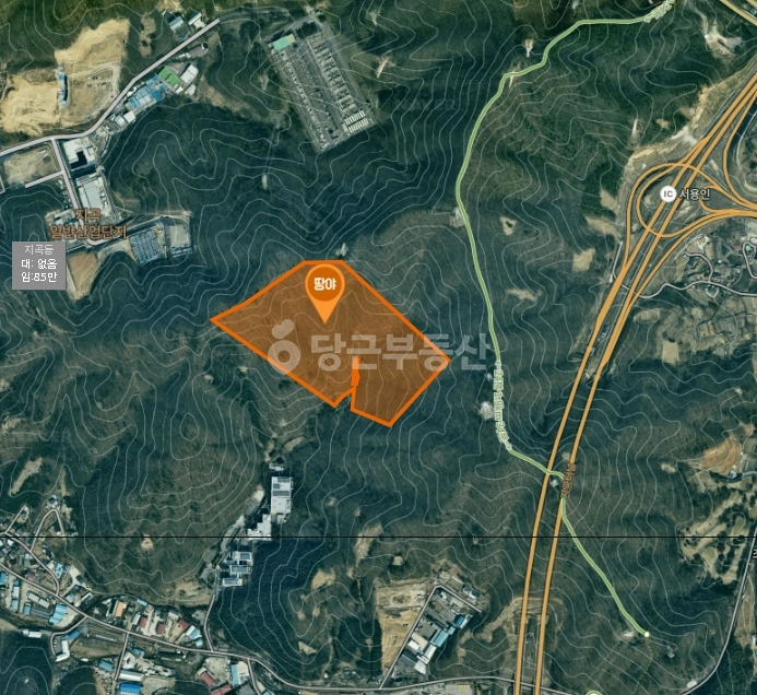경기도 용인시 기흥구 지곡동 토지 사진 1
