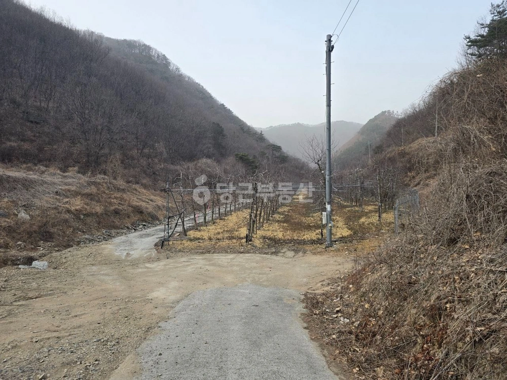 경상북도 영천시 화북면 토지 사진 1