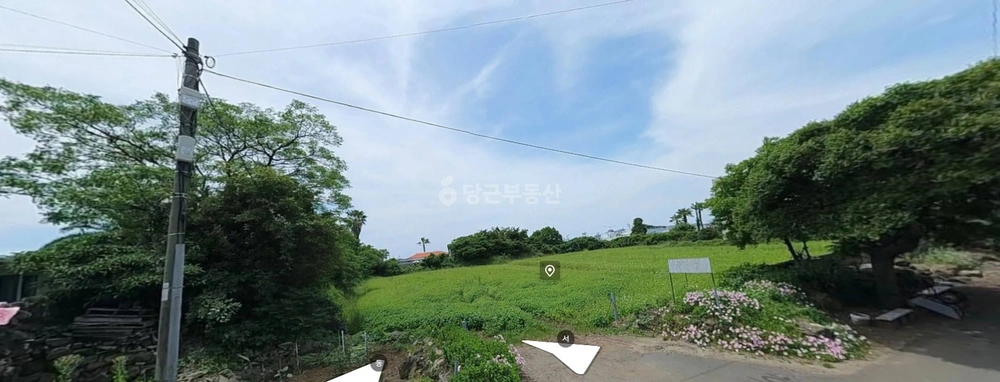제주특별자치도 서귀포시 안덕면 토지 사진 1