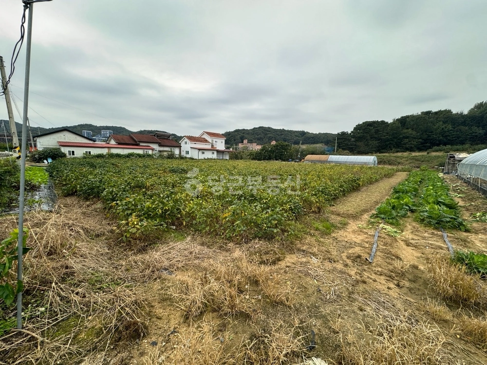 전북특별자치도 전주시 완산구 삼천동3가 토지 사진 1