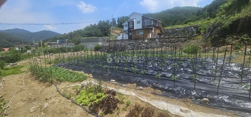경기도 남양주시 수동면 토지 사진 1