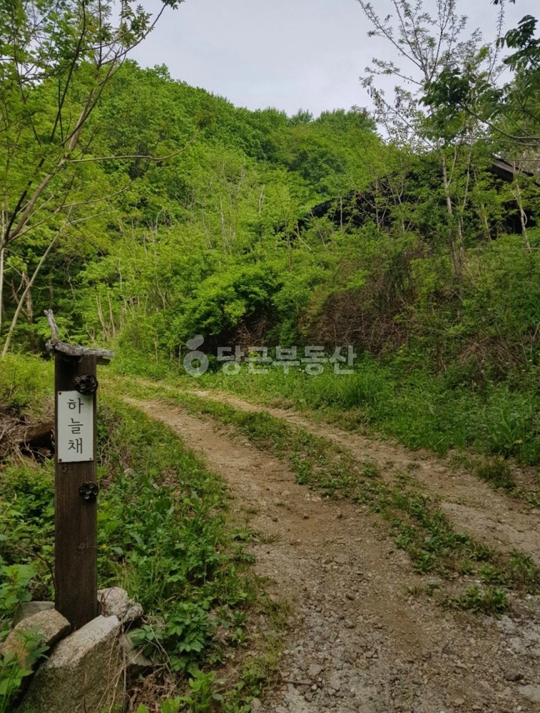 강원특별자치도 인제군 기린면 토지 사진 1