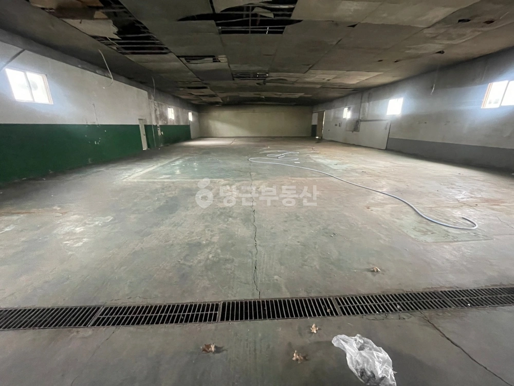 대구광역시 달성군 다사읍 공장/창고 사진 1