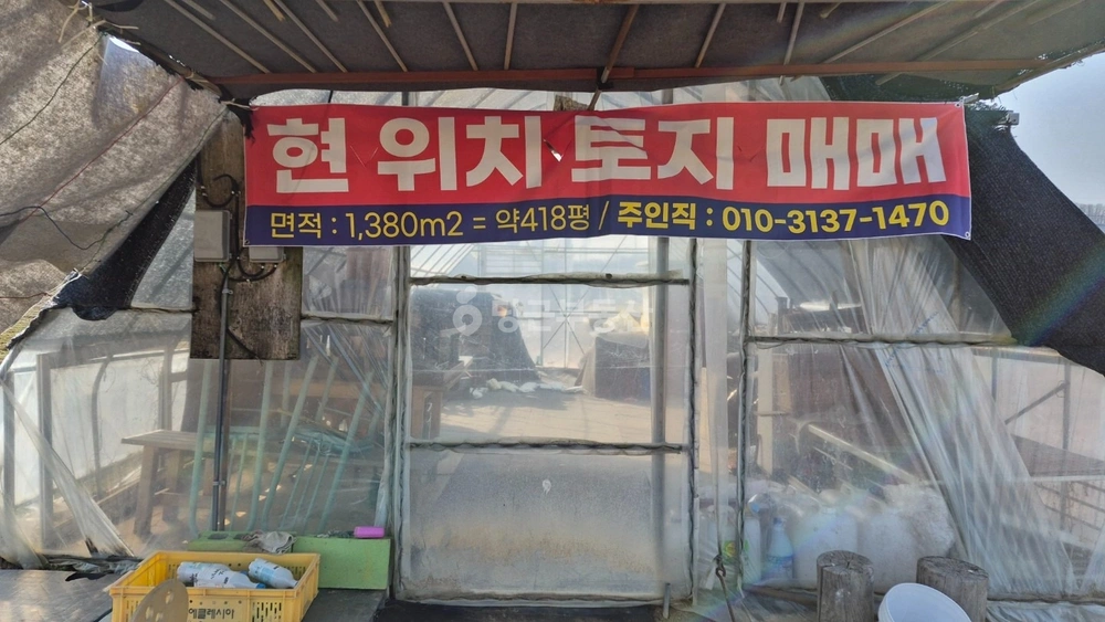 경기도 파주시 파평면 토지 사진 1
