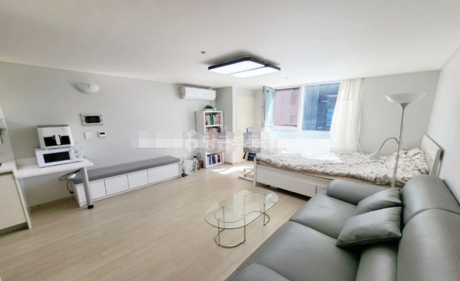 서울특별시 강남구 역삼동 오피스텔 사진 1