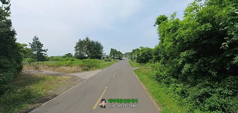 제주특별자치도 서귀포시 남원읍 토지 사진 1