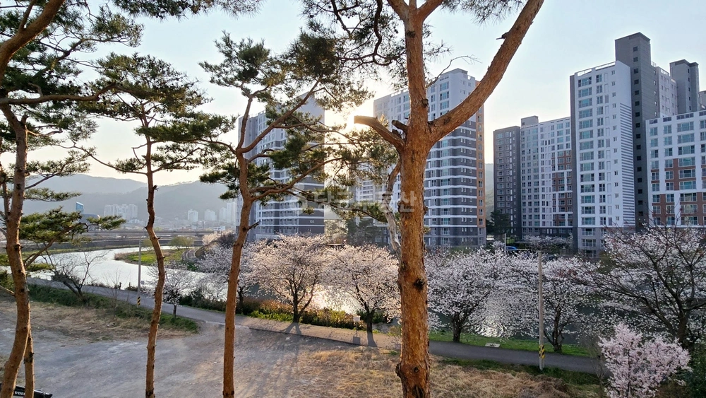 전남광주통합특별시 순천시 서면 아파트 사진 1