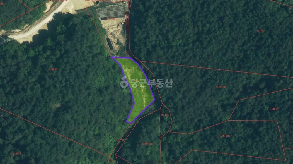 강원특별자치도 양양군 손양면 토지 사진 1