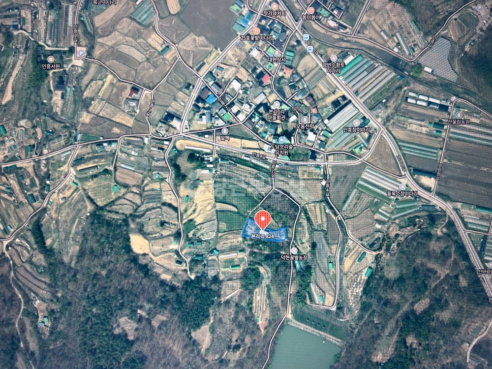 대구광역시 달성군 화원읍 토지 사진 1