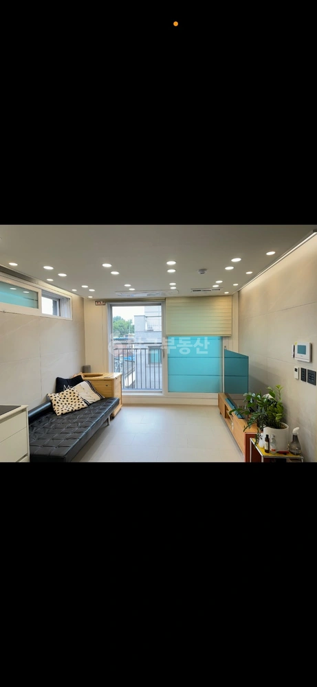 서울특별시 마포구 망원동 빌라(투룸 이상) 사진 1