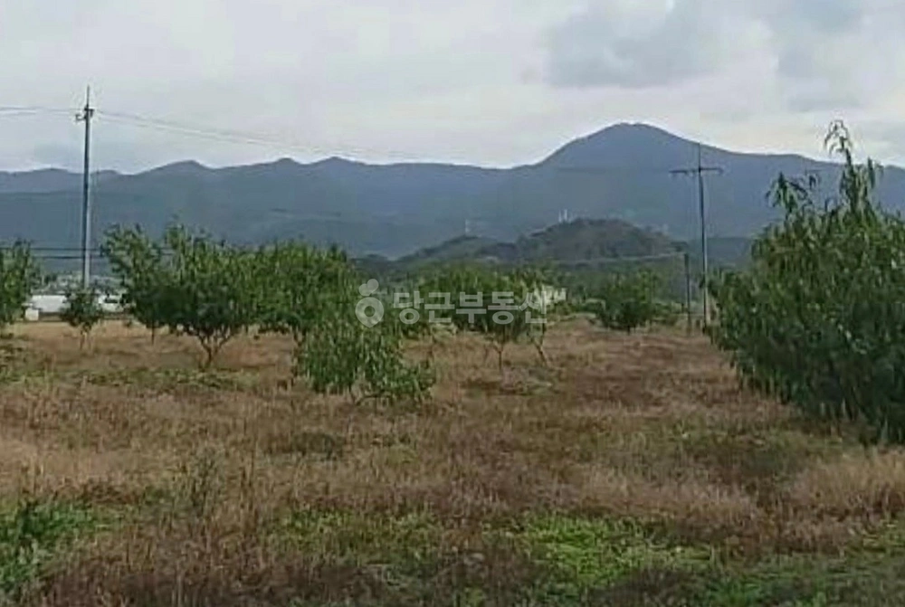 경상북도 청도군 화양읍 토지 사진 1