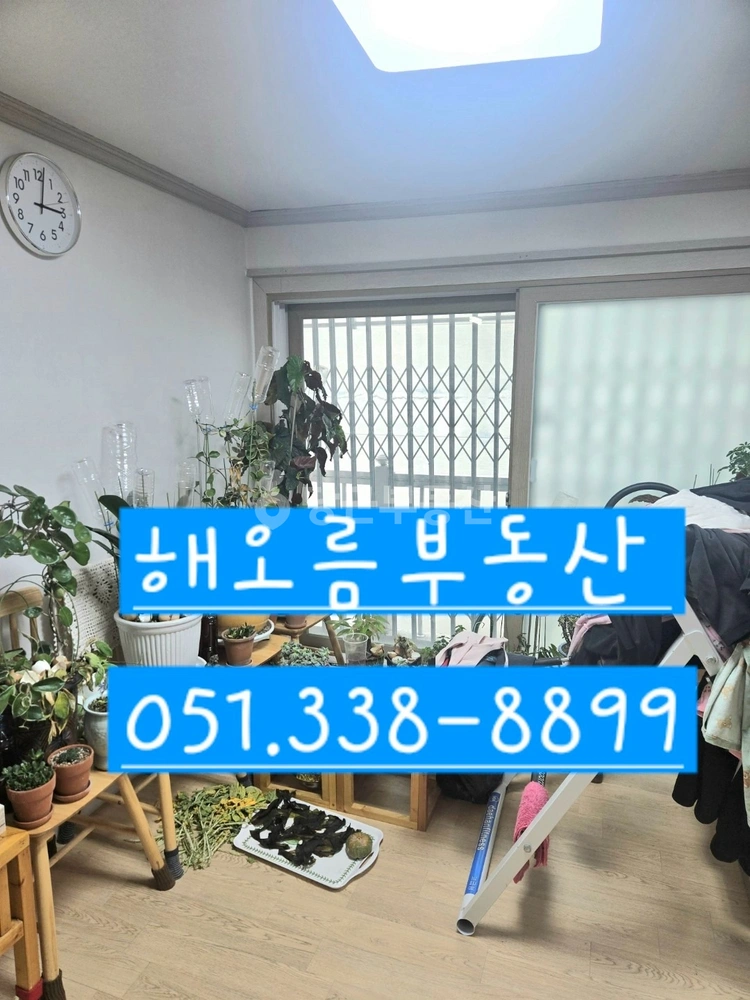 부산광역시 북구 구포동 단독/전원주택 사진 1