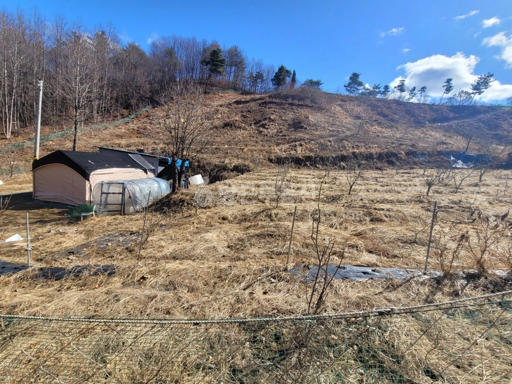 충청남도 예산군 신양면 토지 사진 1
