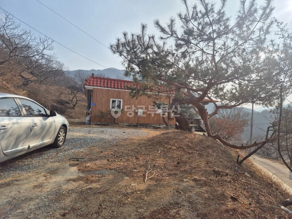 충청남도 청양군 대치면 단독/전원주택 사진 1