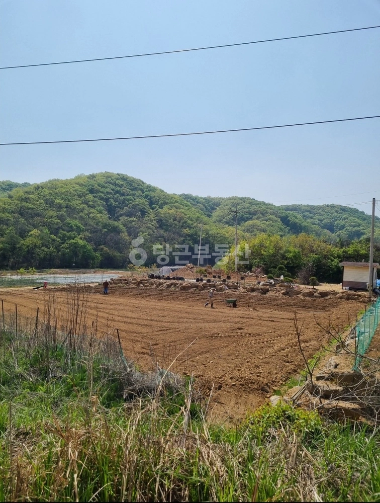경기도 연천군 백학면 토지 사진 1