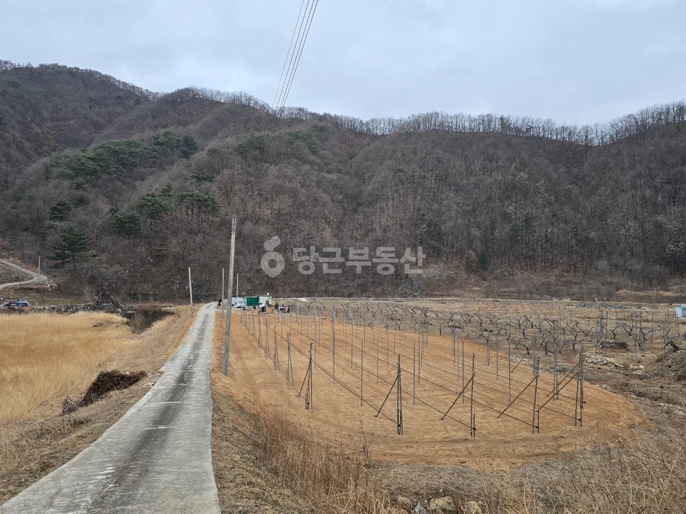 경상북도 영덕군 지품면 토지 사진 1