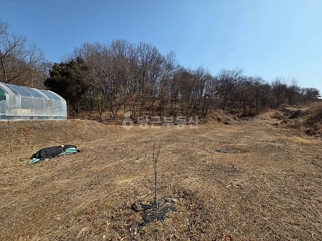 경기도 여주시 대신면 토지 사진 1