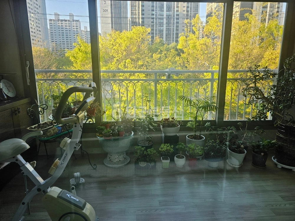 대구광역시 달서구 상인동 아파트 사진 1