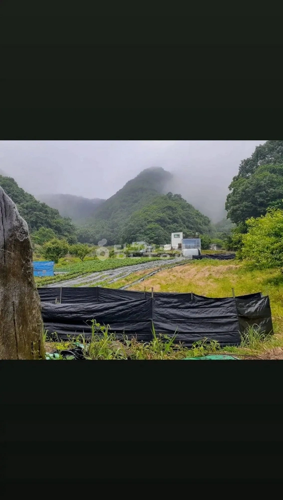충청북도 단양군 적성면 토지 사진 1