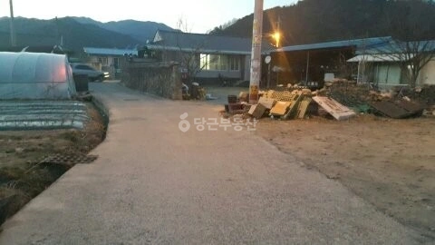 경상북도 성주군 벽진면 단독/전원주택 사진 1