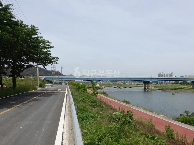 경상북도 울진군 근남면 토지 사진 1