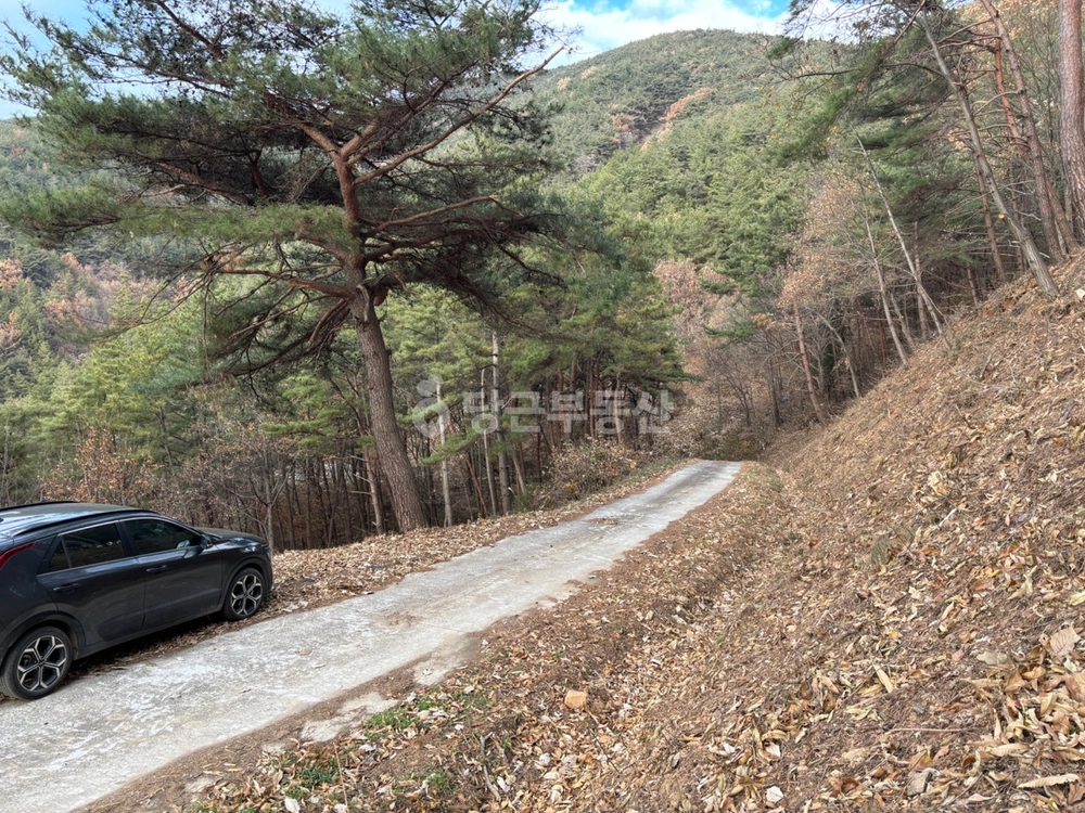 경상남도 창녕군 도천면 토지 사진 1