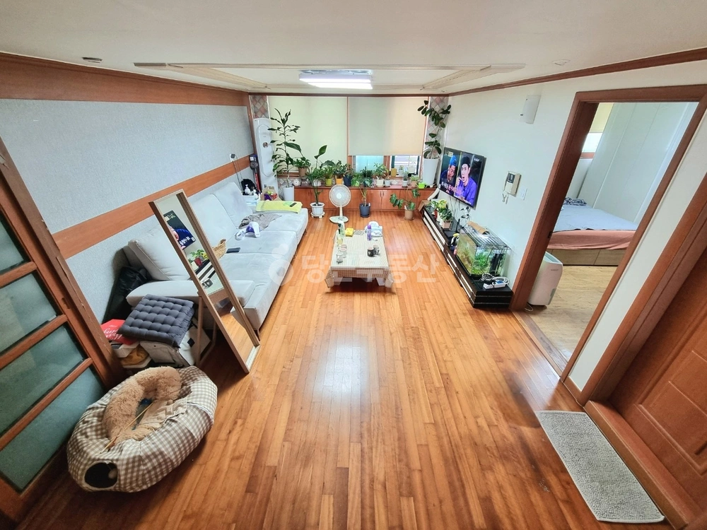 서울특별시 은평구 역촌동 빌라(투룸 이상) 사진 1