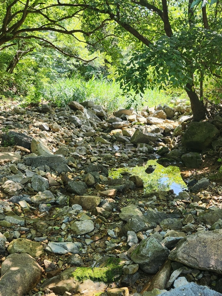 충청북도 보은군 산외면 토지 사진 1