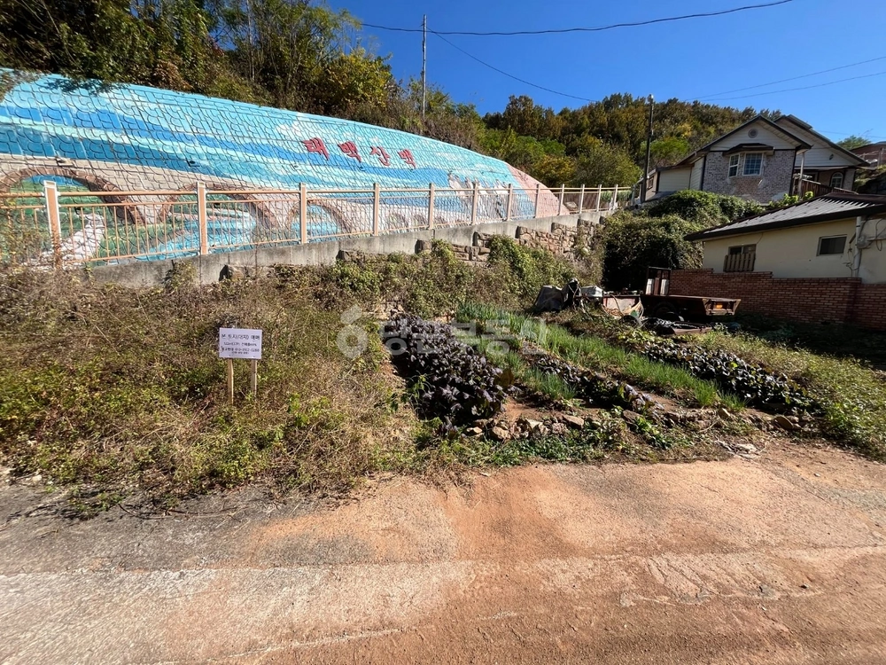 전남광주통합특별시 보성군 벌교읍 토지 사진 1