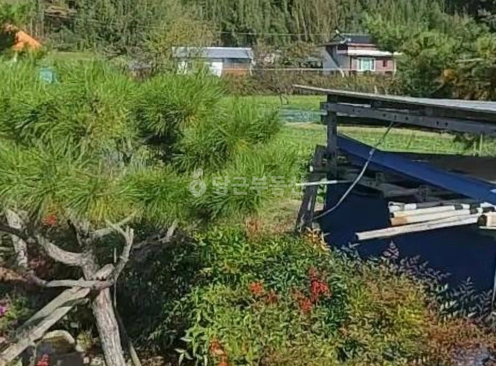 경상북도 청도군 이서면 토지 사진 1