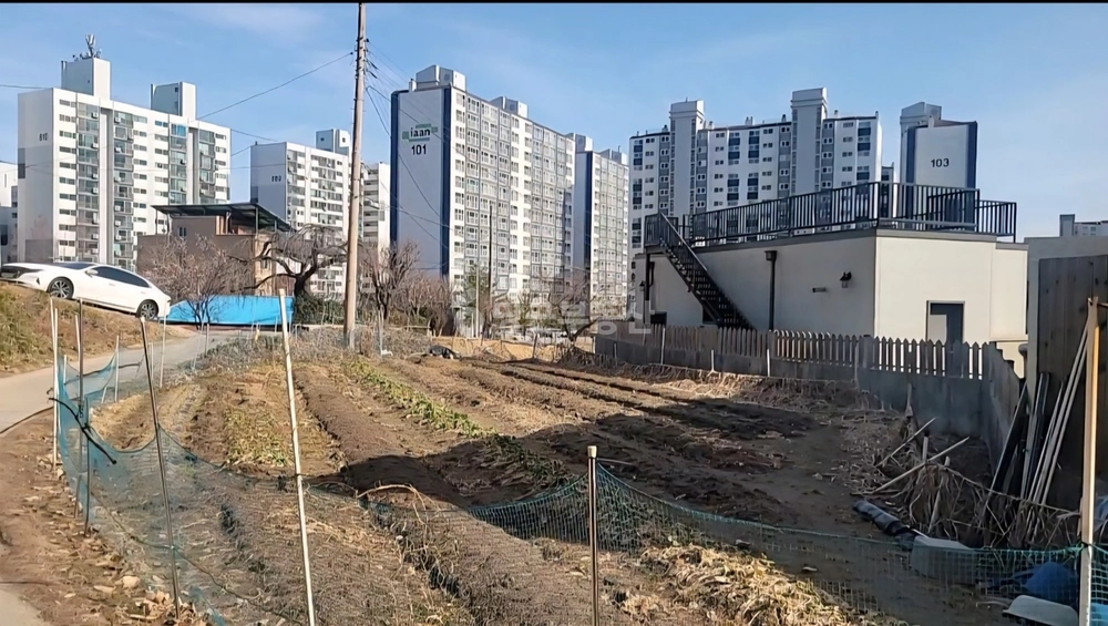 강원특별자치도 강릉시 입암동 토지 사진 1