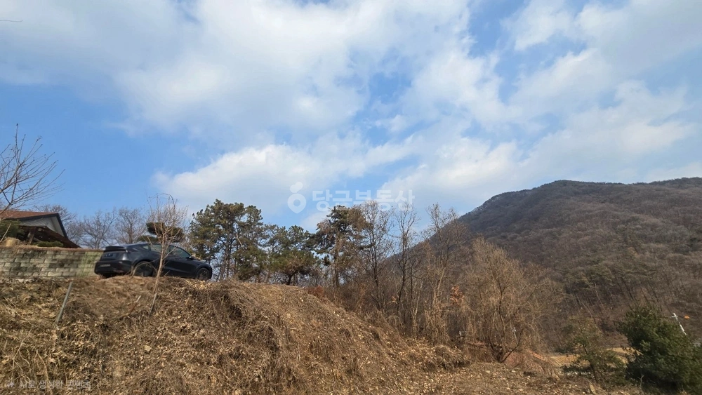 경기도 여주시 금사면 토지 사진 1