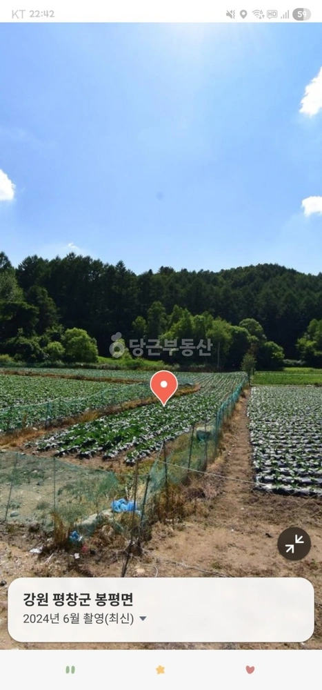 강원특별자치도 평창군 봉평면 토지 사진 1