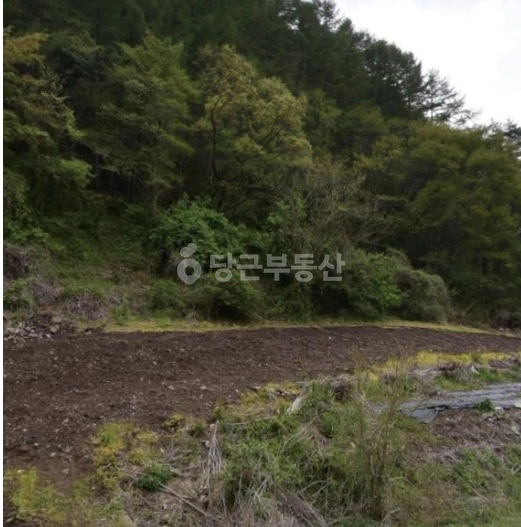 경상북도 청송군 현서면 토지 사진 1