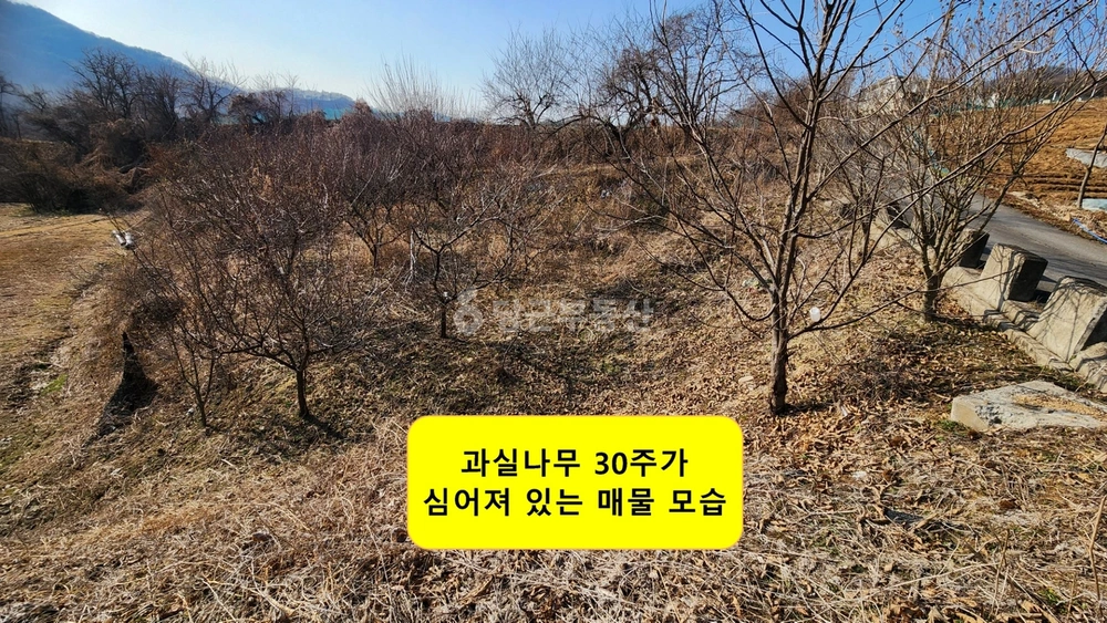 충청북도 음성군 원남면 토지 사진 1