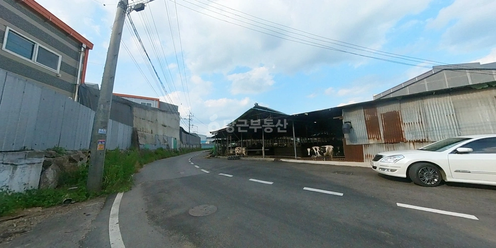 경기도 파주시 조리읍 토지 사진 1