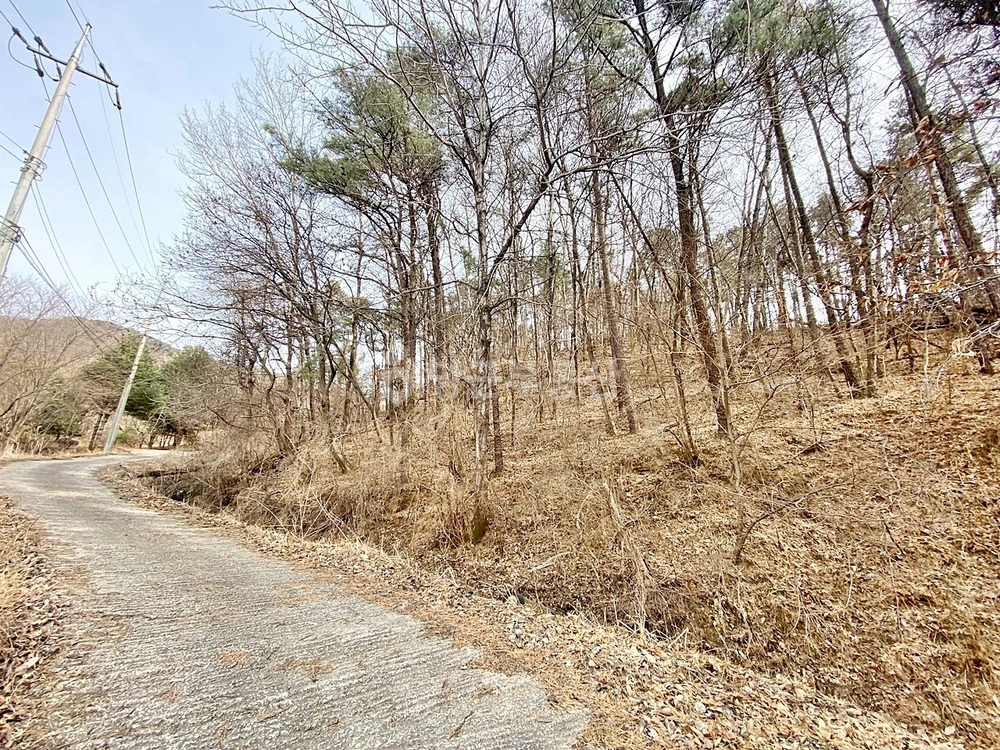 경기도 양평군 양평읍 토지 사진 1