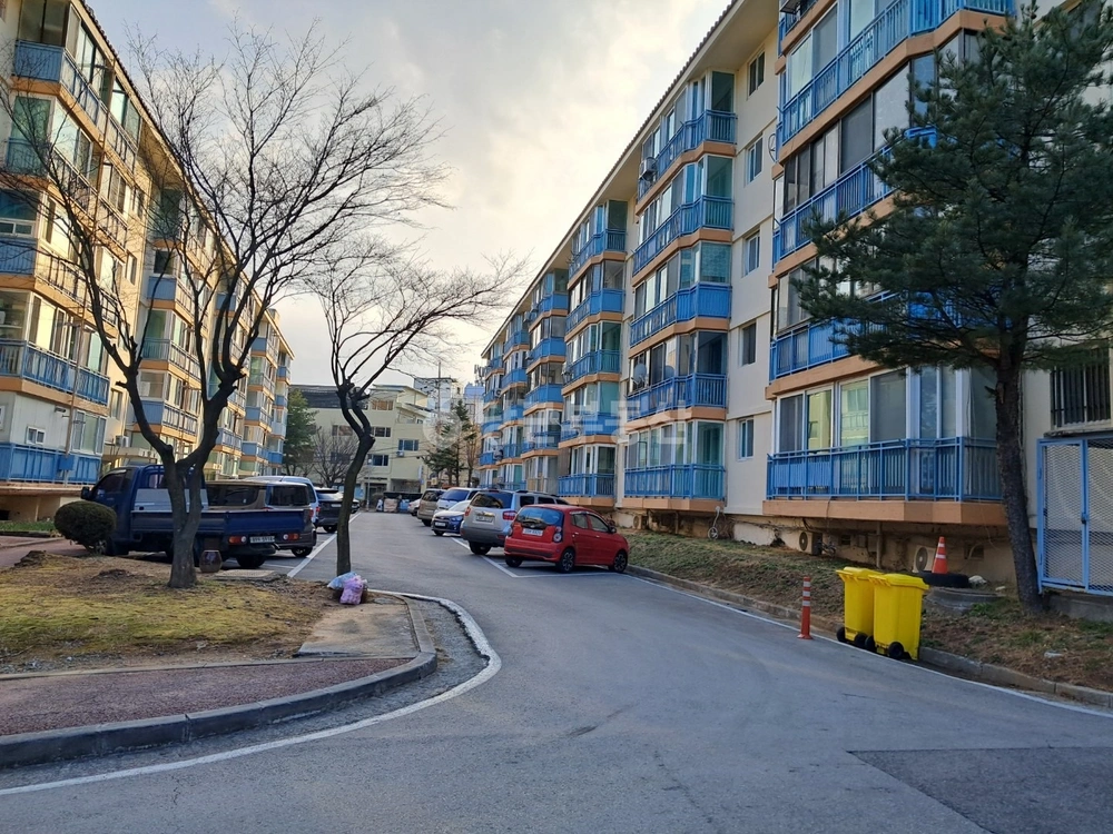 강원특별자치도 강릉시 내곡동 아파트 사진 1