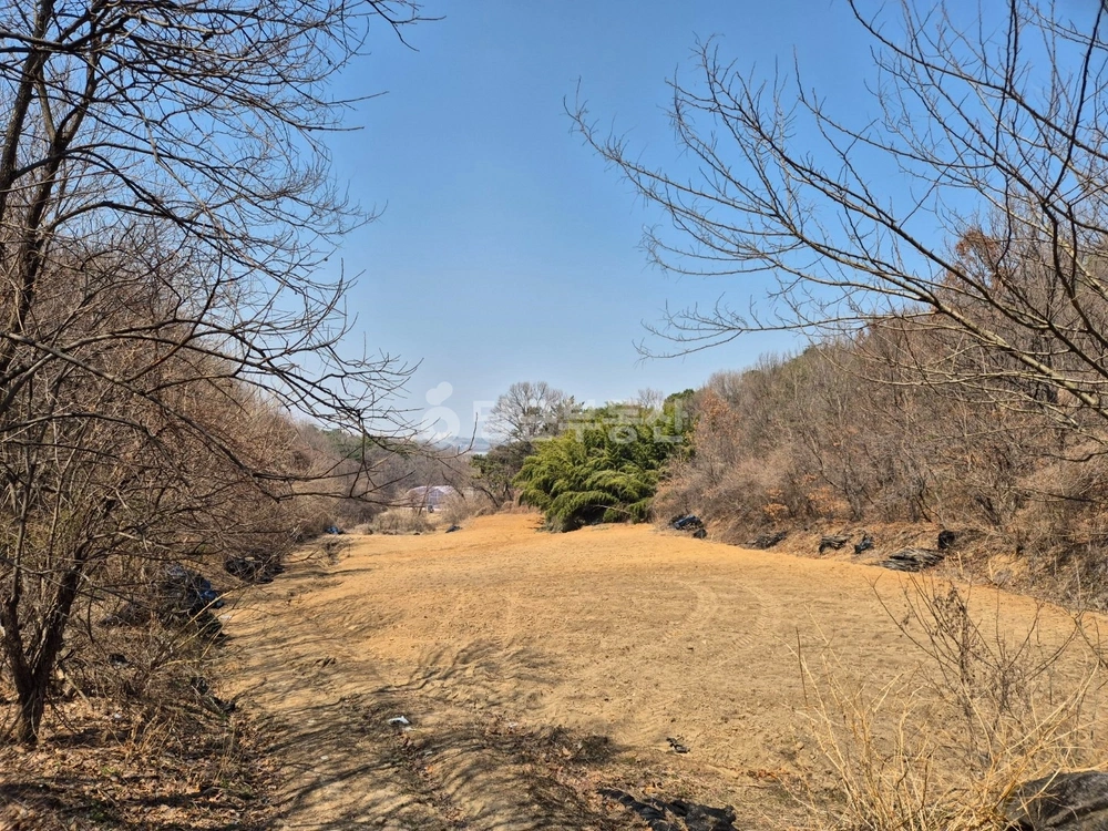 충청남도 논산시 은진면 토지 사진 1